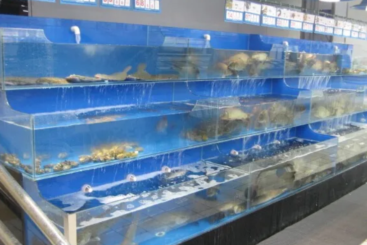 海鲜池定制
