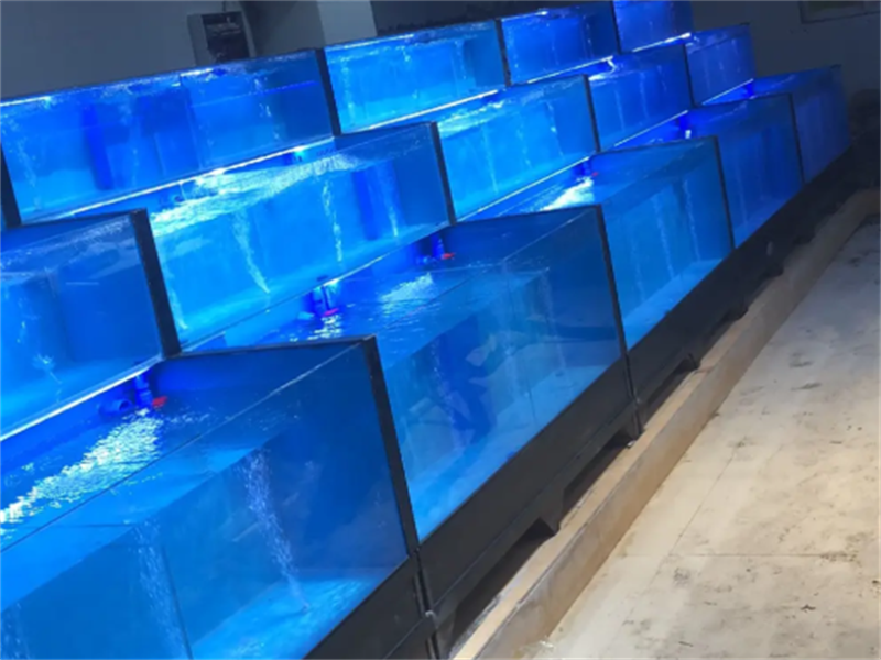 铲车工混海鲜池定制