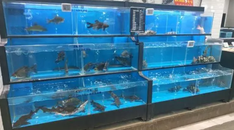 海鲜池定制
