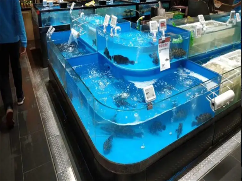 长春海鲜池制作，自己怎么做海鲜池？ 