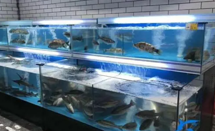 海鲜池定制