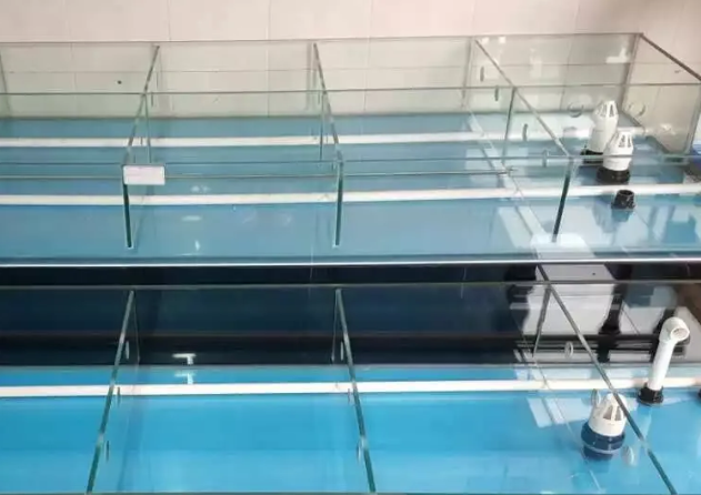 海鲜池定制